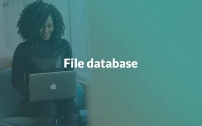 File database