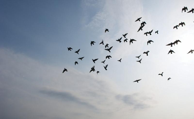 What is Ignatian leadership?